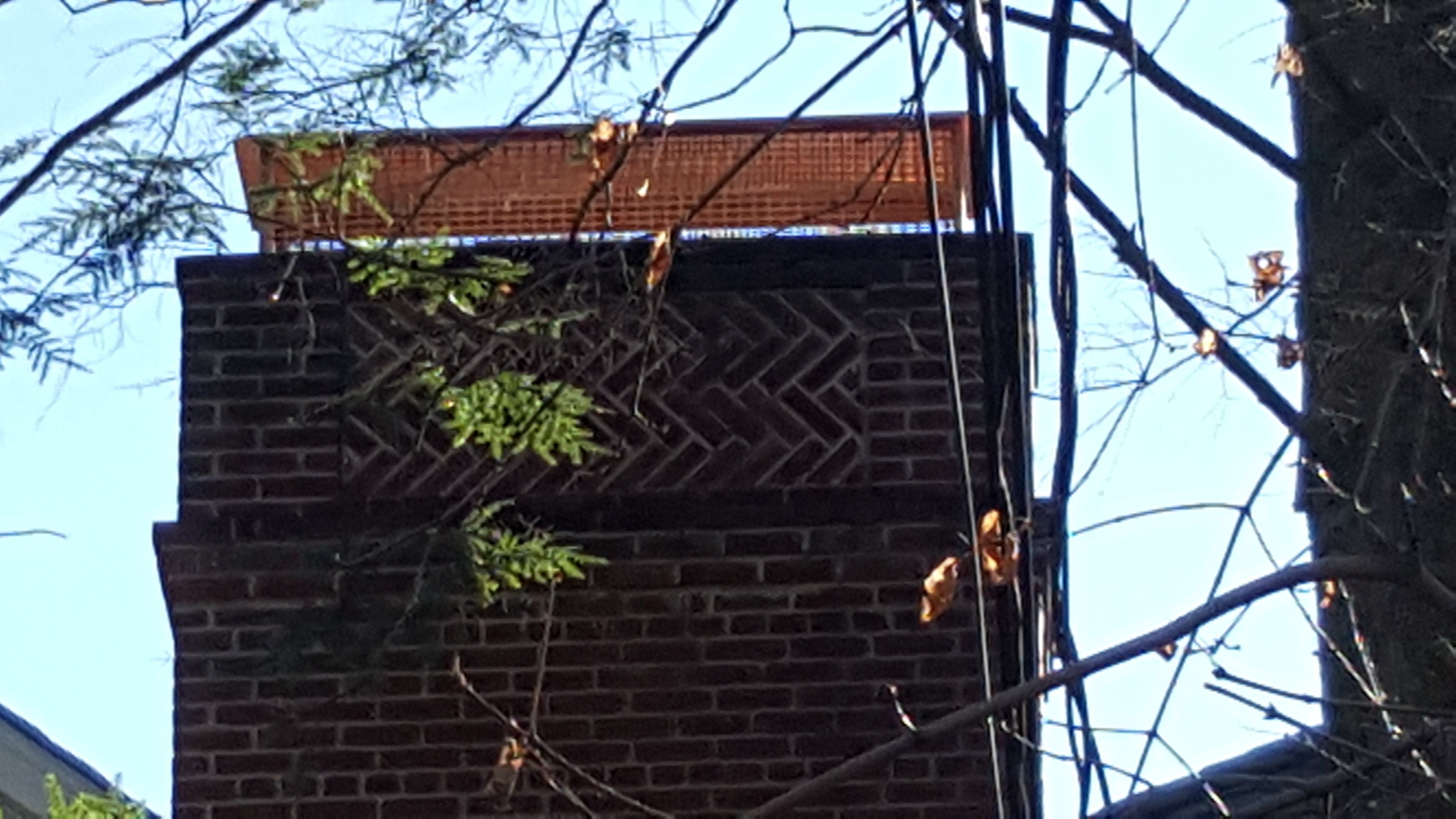Animal-proof chimney cap protecting home in Bayville, New York